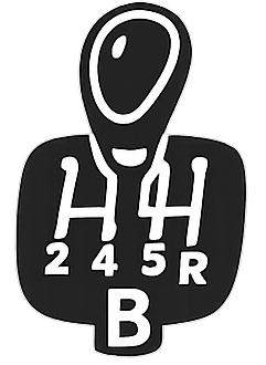 Führerschein B Icon